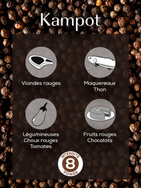 Pepper black kampot - 3x20g