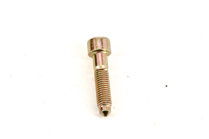 Exhaust line fixing screw