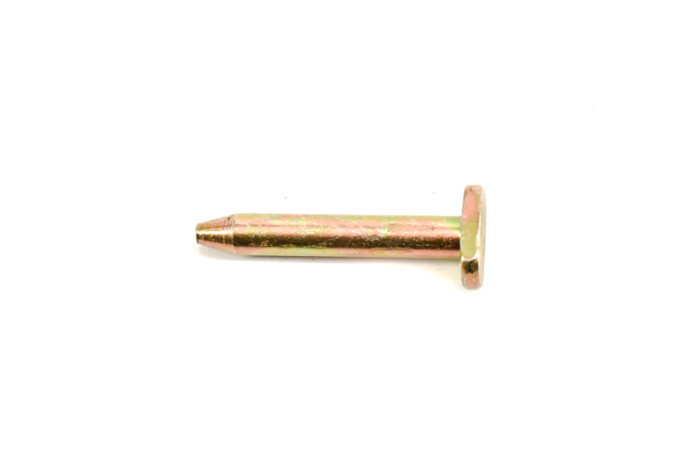 Fuel flap hinge pin