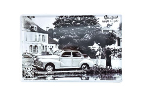 Metal plate 203 near river - 30 x 20 cm