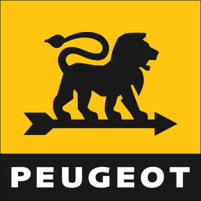 Peugeot Tool